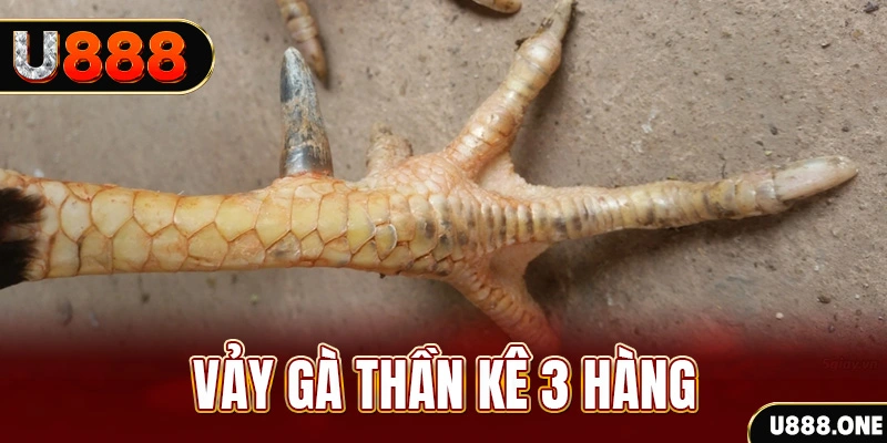 ibet888 nổ hũ đổi thưởng . ai