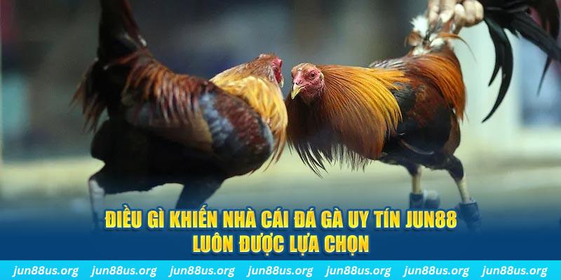 ibet888 bắn cá 30