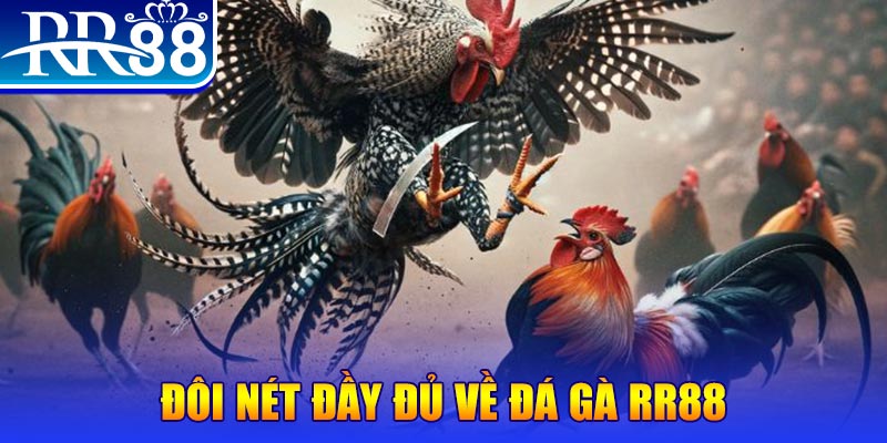 ibet888 1 slot là gì