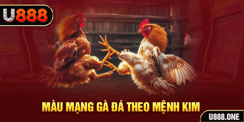 ibet888 gà chọi tiêu phong