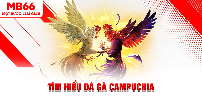 ibet888 tại sao không tải được nổ hũ
