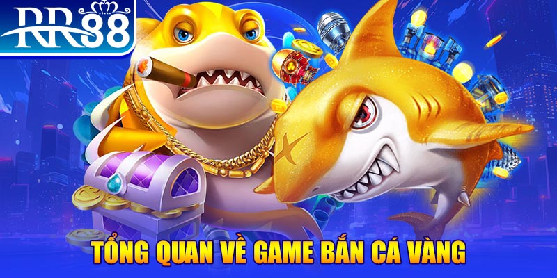 ibet888 xổ số miền bắc hôm