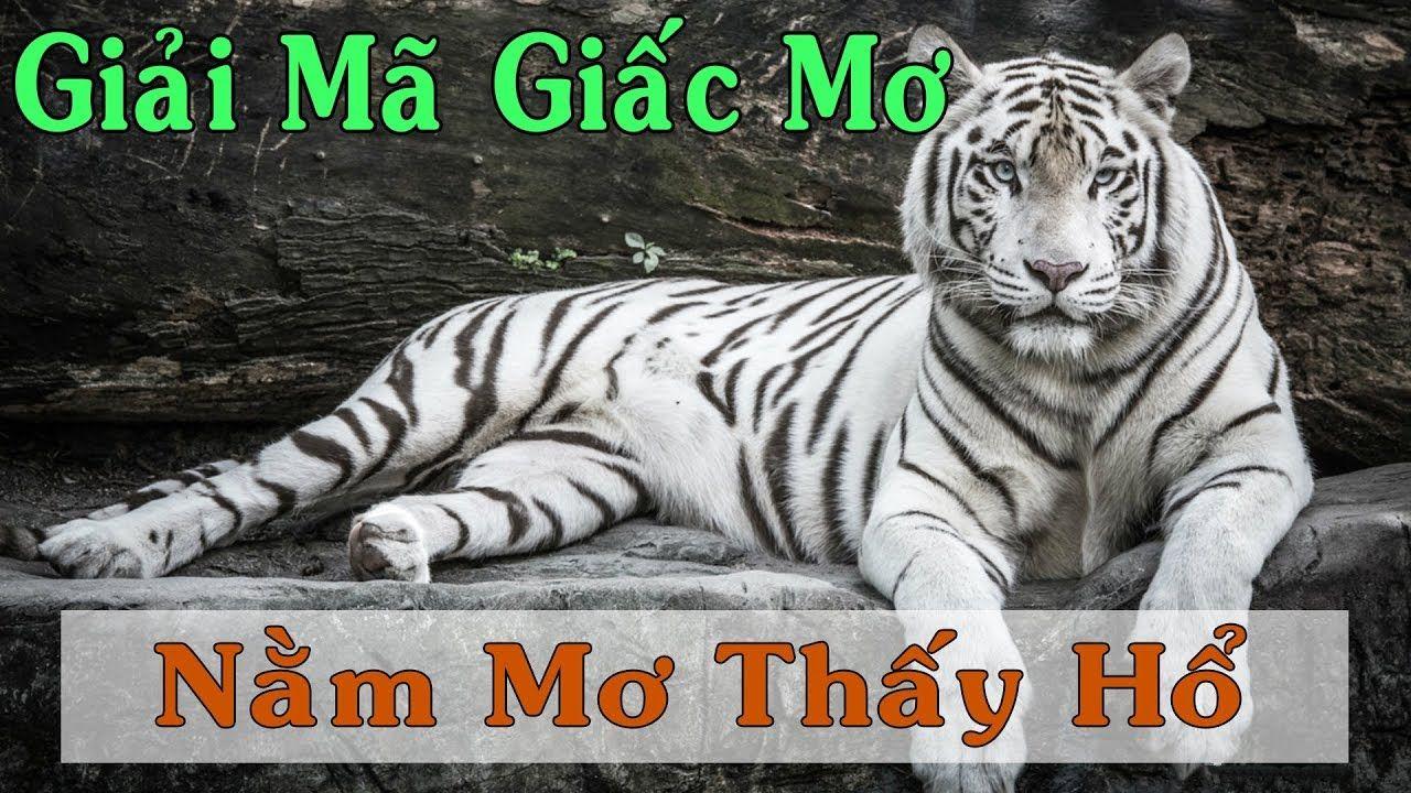 ibet888 xổ số miền trung