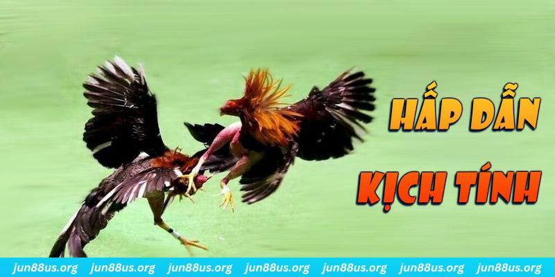 ibet888 bắn cá long vương