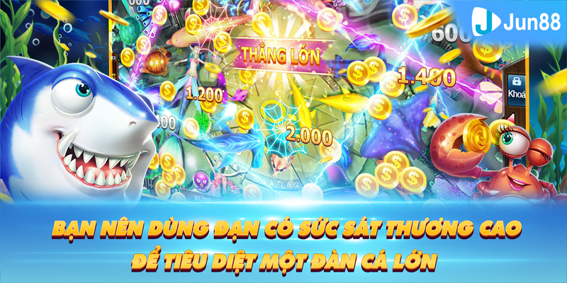 ibet888 ÁT CHỦ BÀI GIÀNH LẤY ZHUANG NIUNIU ( XEM 3 LÁ )