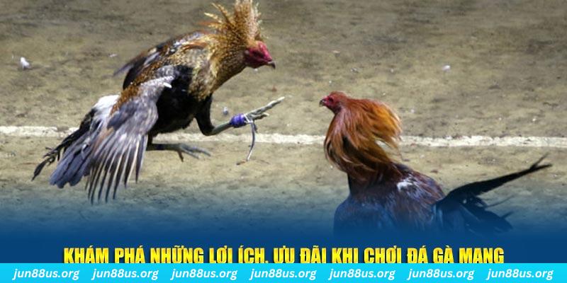 ibet888 Tài Xỉu 2
