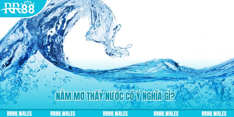 ibet888 đá gà trực tiếp thomo