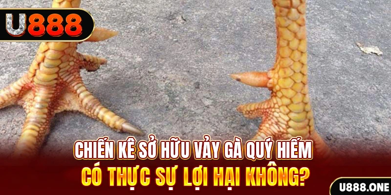 ibet888 game cá cược máy bay