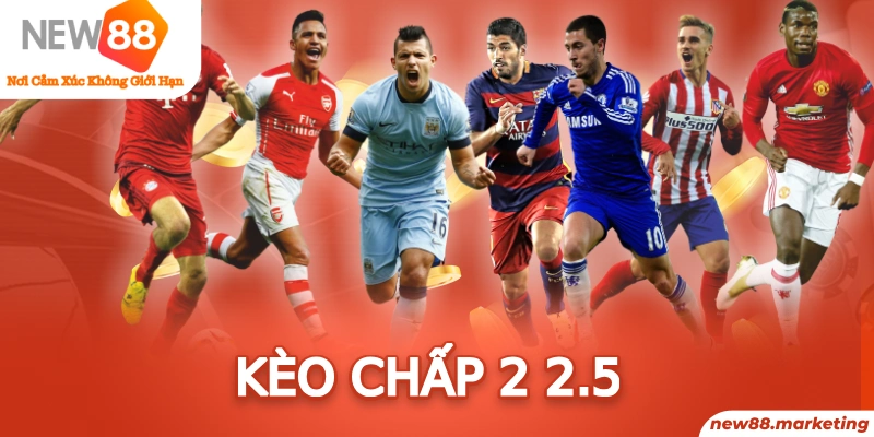 ibet888 trực tiếp đá gà thomo
