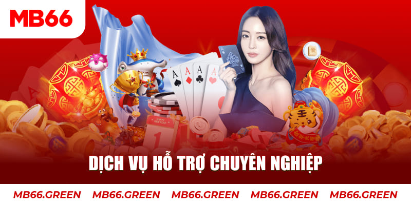 ibet888 gà chọi cậu thanh