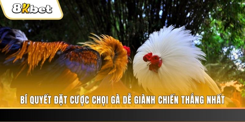 ibet888 may club nổ hũ