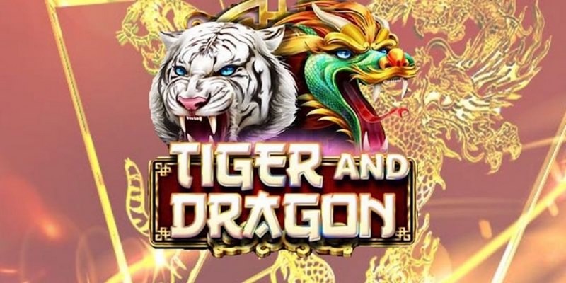 ibet888 cá cược tiếng anh là gì