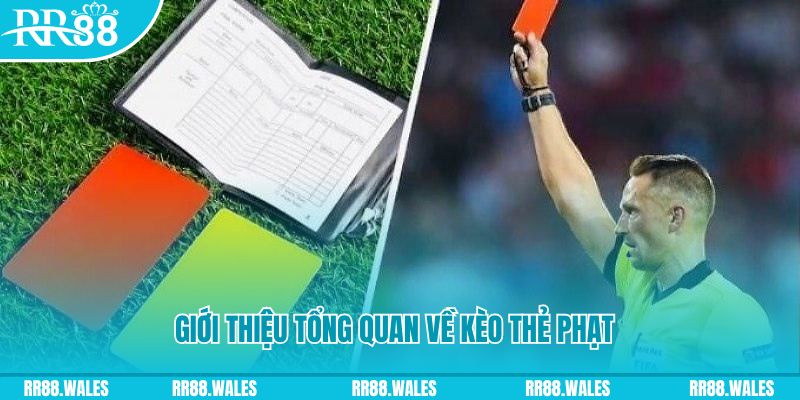 ibet888 đá gà trực tiếp c1